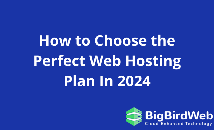 How to Choose the Perfect Web Hosting Plan In 2024