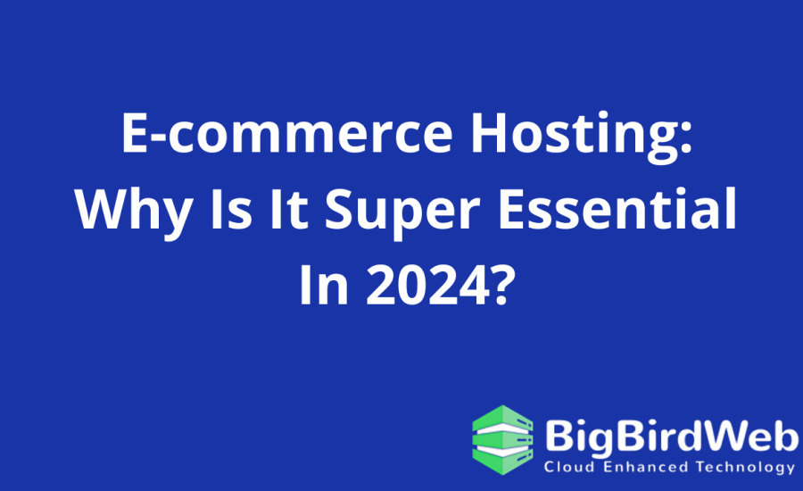 E-commerce Hosting: Why Is It Super Essential In 2024?