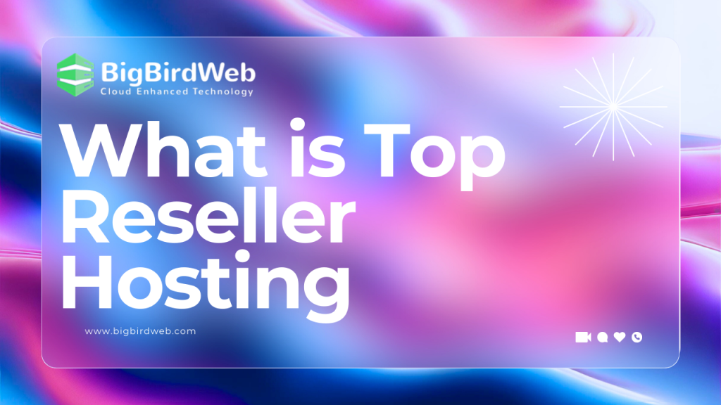 Top Reseller Hosting: How Can It Super Charge Up Your Business In 2024?