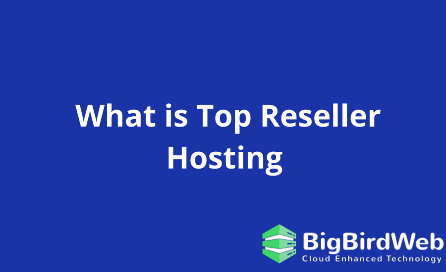 Top Reseller Hosting: How Can It Super Charge Up Your Business In 2024?