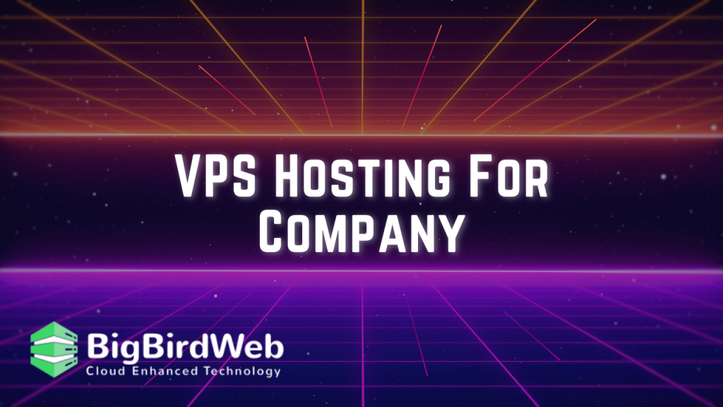 VPS Hosting For Company: Reasons Why Your Company Needs This Super Power In 2024