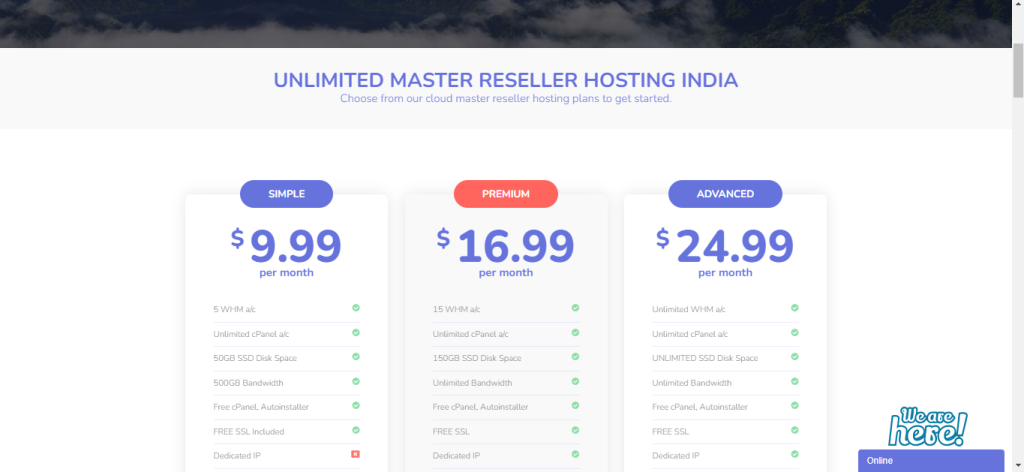 Top Reseller Hosting: How Can It Super Charge Up Your Business In 2024?