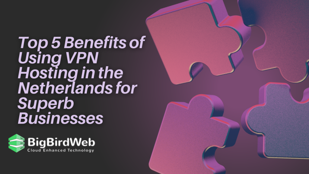 VPN hosting in the Netherlands has become an essential tool for businesses seeking 