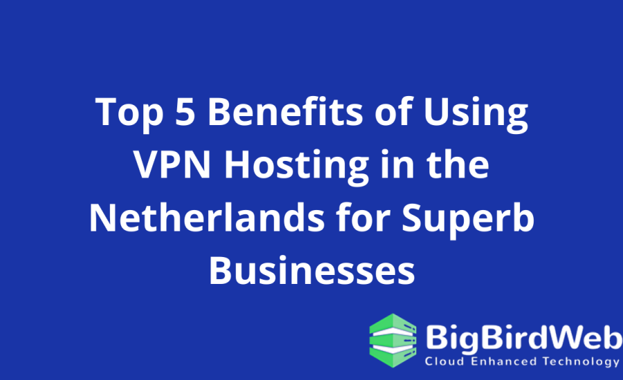 Top 5 Benefits of Using VPN Hosting in the Netherlands for Superb Businesses