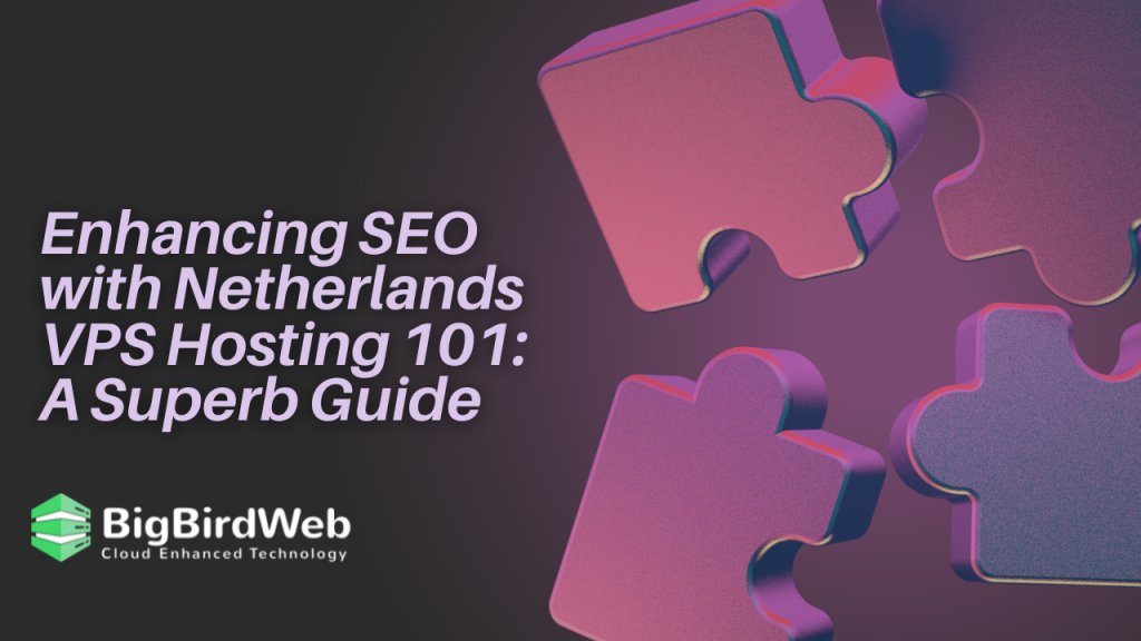 Enhancing SEO with Netherlands VPS Hosting 101: A Superb Guide