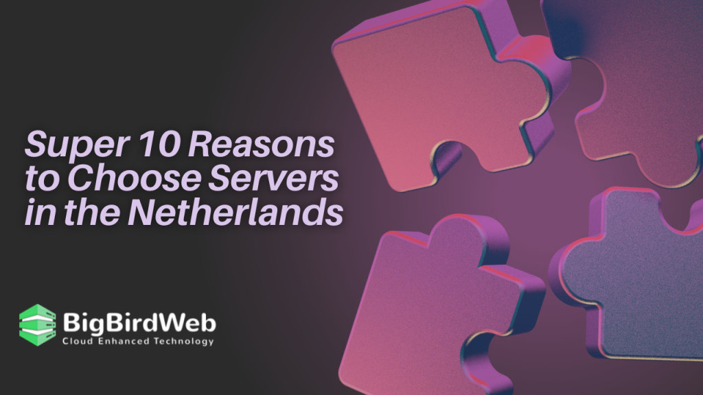 Super 10 Reasons to Choose Servers in the Netherlands