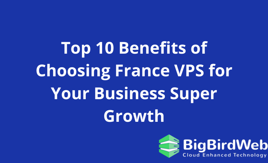 Top 10 Benefits of Choosing France VPS for Your Business Super Growth