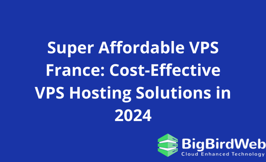 Super Affordable VPS France: Cost-Effective VPS Hosting Solutions in 2024