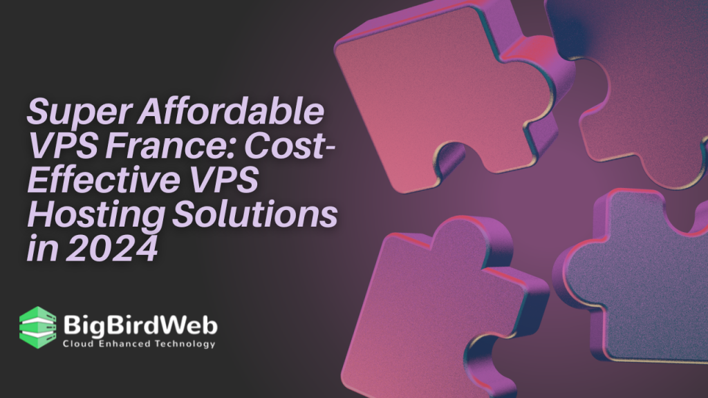 Super Affordable VPS France: Cost-Effective VPS Hosting Solutions in 2024