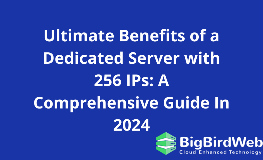 Ultimate Benefits of a Dedicated Server with 256 IPs: A Comprehensive Guide In 2024