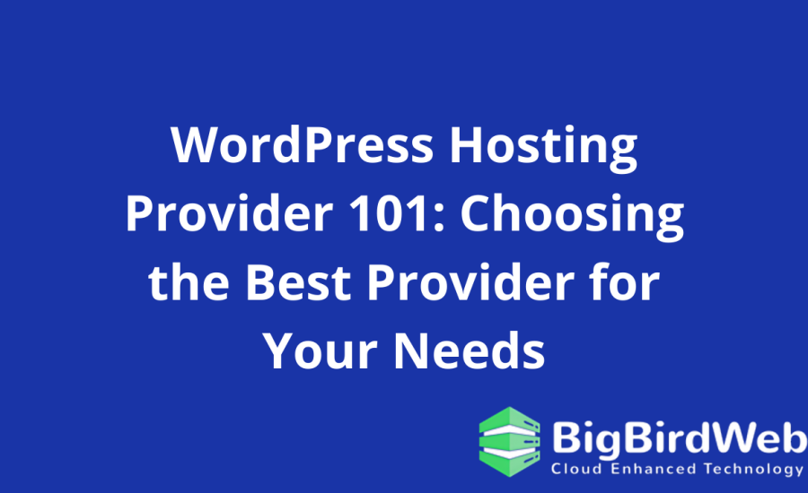 WordPress Hosting Provider 101: Choosing the Best Provider for Your Needs