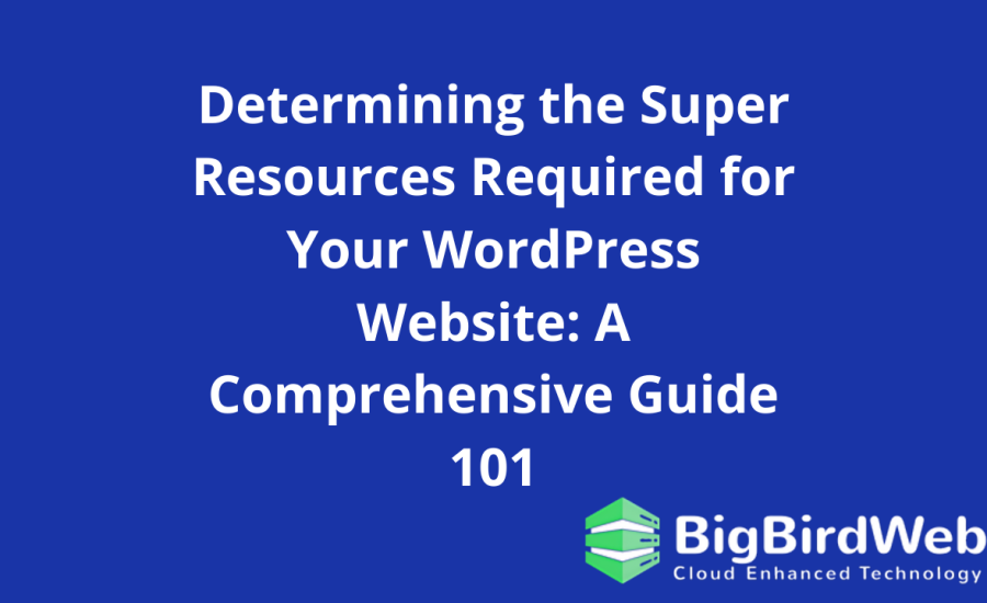 Determining the Super Resources Required for Your WordPress Website: A Comprehensive Guide 101