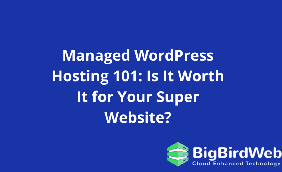 Managed WordPress Hosting 101: Is It Worth It for Your Super Website?