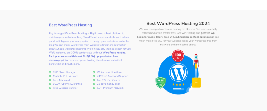 An Essential Guide to VPS Hosting for WordPress: Super Hosting In 2024