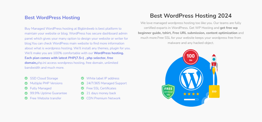 managed WordPress hosting